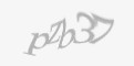 Қорғаныс коды